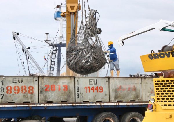 Gobierno de Daniel Noboa anuncia retiro de subsidio al diésel para sector atunero