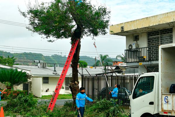 Quince espacios públicos fueron intervenidos en Urdesa Central durante una jornada liderada por el Municipio de Guayaquil y vecinos.
