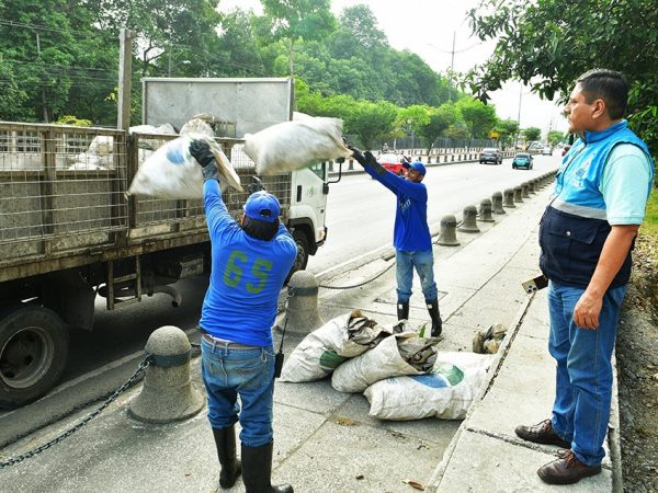 Guayaquil enfrenta una tarea diaria: limpiar el Estero Salado. Toneladas de basura amenazan su equilibrio natural.