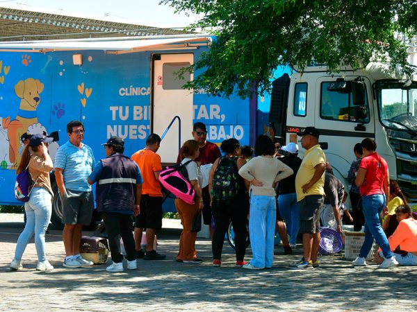 Durante los primeros cinco meses del año, Guayaquil ofreció más de 116.000 atenciones médicas gratuitas a perros y gatos.
