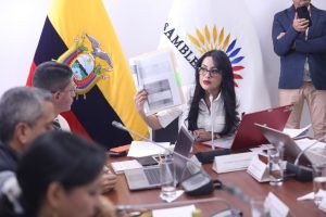 Viviana Veloz, presidenta de la Comisión, quien exigió declarar en emergencia el sector salud. FOTO: @AsambleaEcuador.