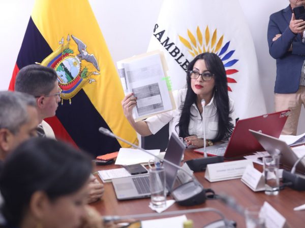 Viviana Veloz, presidenta de la Comisión, quien exigió declarar en emergencia el sector salud. FOTO: @AsambleaEcuador.