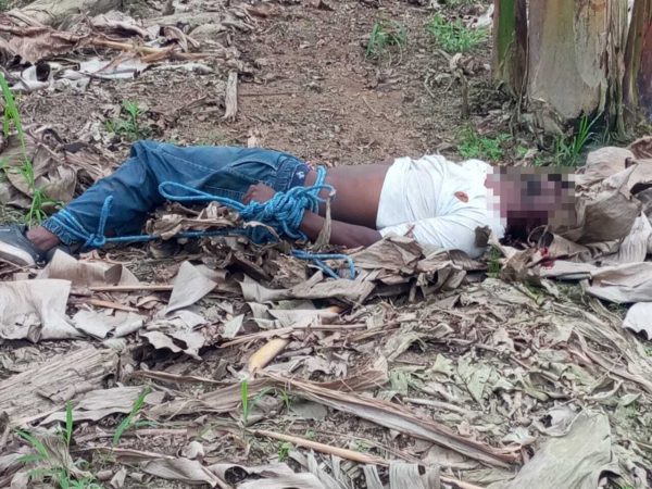 Hombre fue asesinado en una platanera de Santo Domingo; estaba atado y tenía impactos de bala