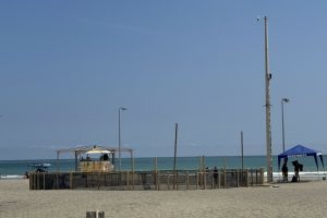Protección de tortugas marinas impulsa control en la playa