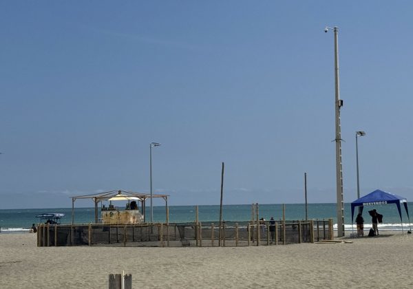 Protección de tortugas marinas impulsa control en la playa