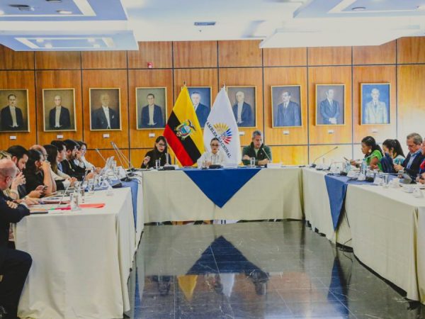 La Comisión de Niñez examina la inacción estatal ante casos de violencia sexual en el ámbito institucional. (AN)