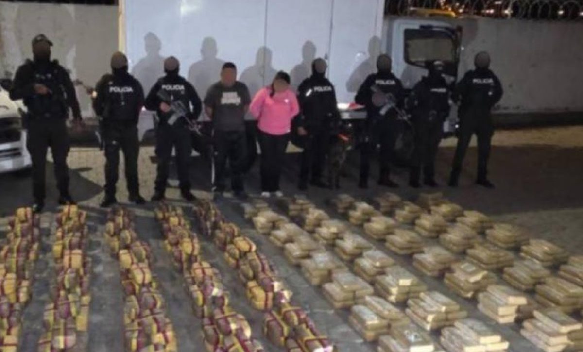 La Policía Nacional decomisó media tonelada de marihuana escondida en un camión que transportaba cajas de vegetales.