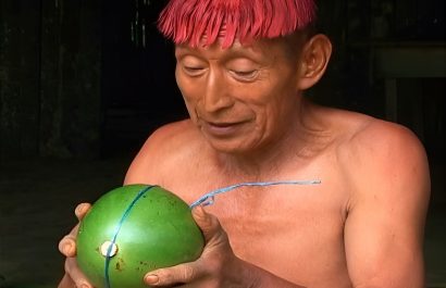 La agricultura tsáchila impulsa la economía familiar en Santo Domingo de los Tsáchilas con cultivos de plátano, papaya y cacao