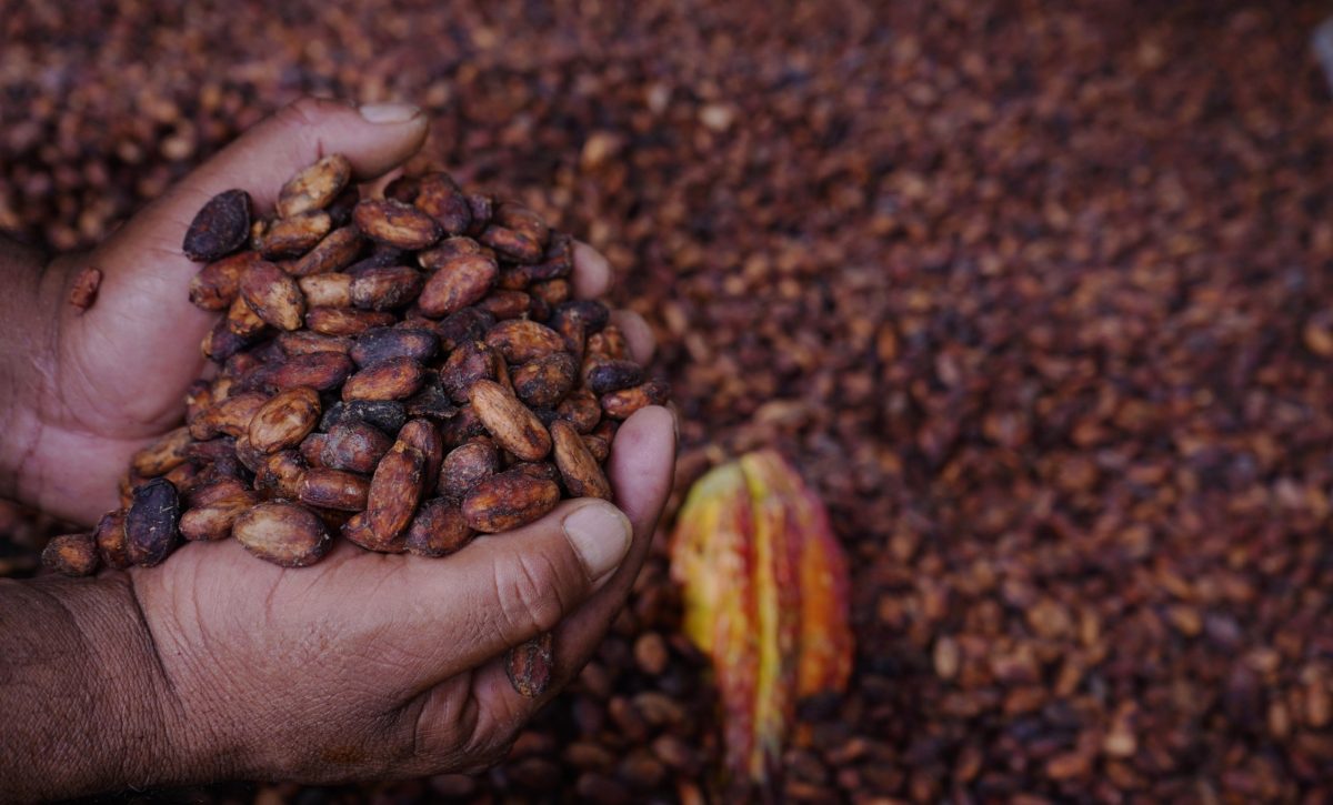 La calidad del cacao ecuatoriano, en especial el tipo “Nacional”, es un factor competitivo en mercados internacionales.