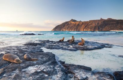 Las Islas Galápagos combinan conservación y economía azul para un futuro sostenible