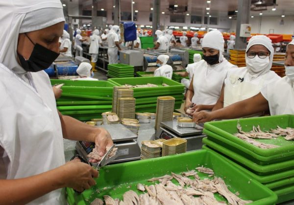 La eliminación del subsidio al diésel afecta a la flota atunera. La industria en tierra apuesta por transformación para seguir siendo competitiva.