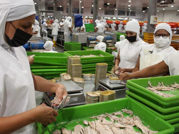 La eliminación del subsidio al diésel afecta a la flota atunera. La industria en tierra apuesta por transformación para seguir siendo competitiva.