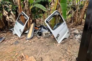 Partes de vehículos robados fueron halladas en el predio donde estaba el camión sustraído.