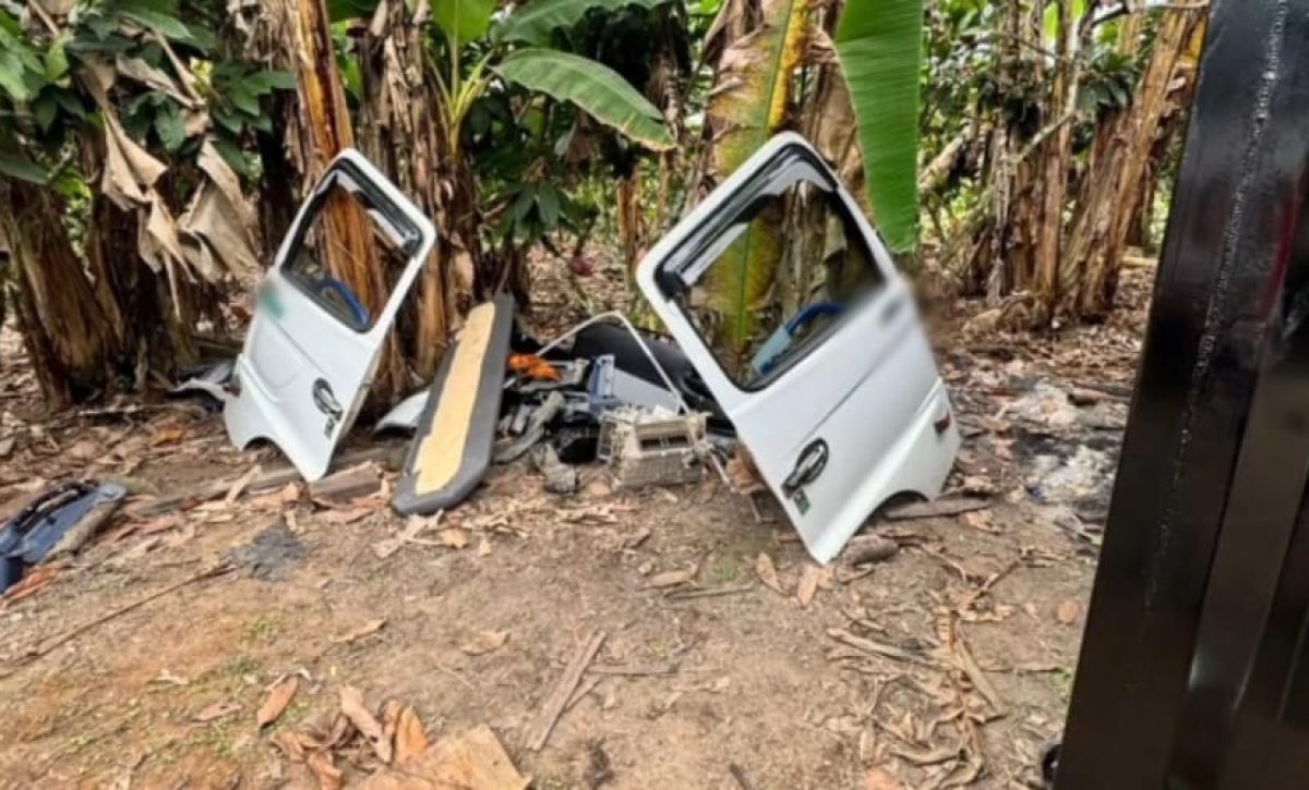 Partes de vehículos robados fueron halladas en el predio donde estaba el camión sustraído.