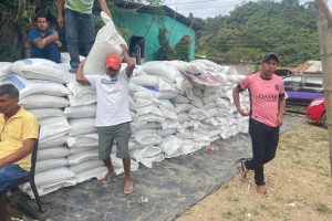 Los productores agrícolas recibieron los fertilizantes subsidiados.