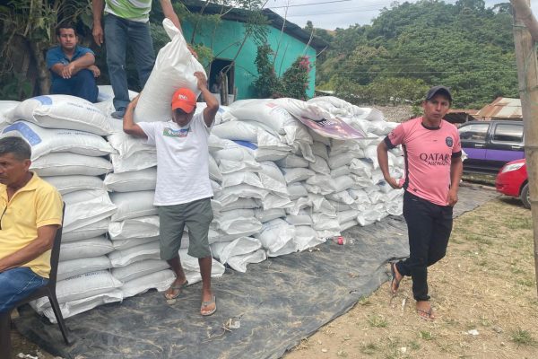 Los productores agrícolas recibieron los fertilizantes subsidiados.