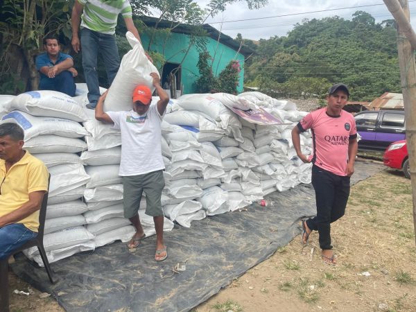 Los productores agrícolas recibieron los fertilizantes subsidiados.