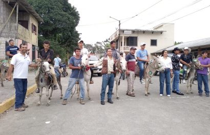 Puerto Limón celebra su tradicional carrera de burros con nuevas categorías