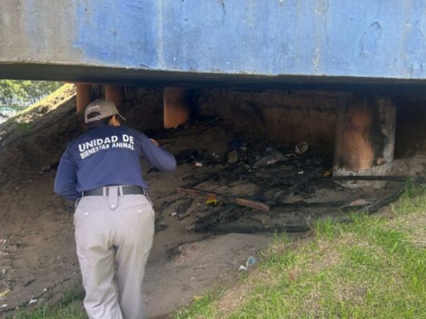 Quito autoridades recaban pruebas tras grave caso de maltrato animal en Carcelén