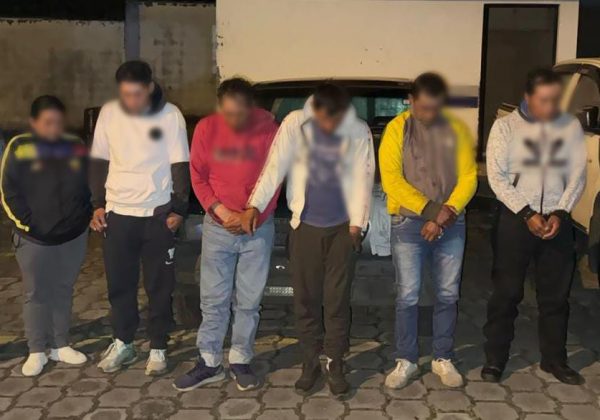 Seis detenidos por asociación ilícita y robo de ganado en Pichincha