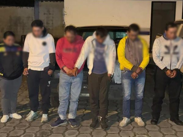 Seis detenidos por asociación ilícita y robo de ganado en Pichincha
