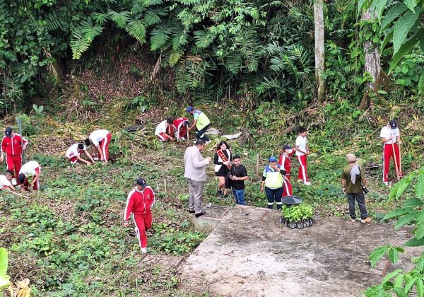 Siembran 328 plantas por el Día del Ambiente en mercado mayorista de Santo Domingo de los Tsáchilas