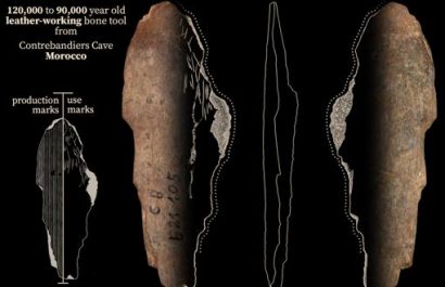 ThisimageshowsabonetoolfromContrebandiersCaveMoroccothatwasusedforleatherworking120000to90000yearsagoCREDITJacopoNiccolCerasoni-kJ0G-510x349@abc