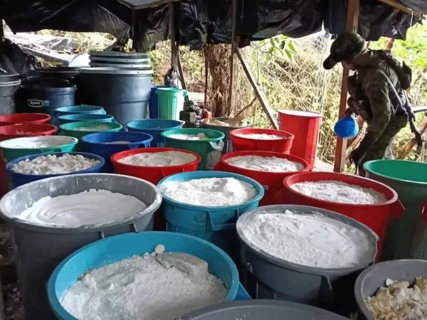 Una operación militar conjunta entre los ejércitos de Colombia y Ecuador permitió la destrucción de un laboratorio clandestino de cocaína y pasta base de cocaína.