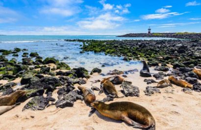 Zoologico-de-Houston-recreara-Islas-Galapagos-como-modelo-de-conservacion-Pixabay-