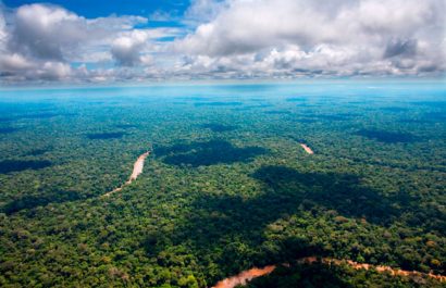 amazonia