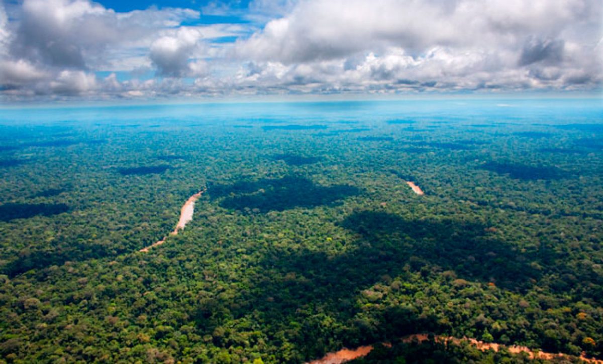 amazonia