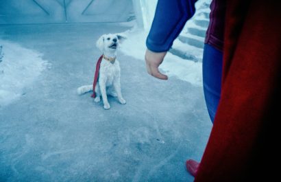 La mascota de Superman 2025 inspira un auge en la adopción de perros rescatados. FOTO: Captura de pantalla.