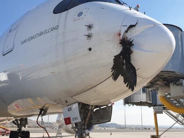 Una fotografía de 2021 muestra el impacto de un ave en un avión.