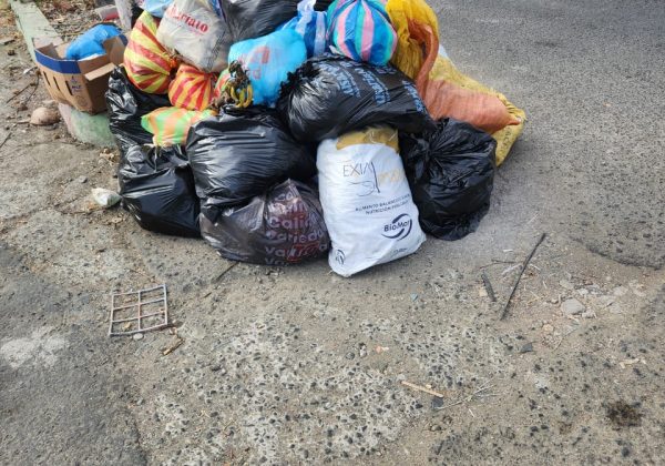 Basura acumulada en uno de los parterres de la 15 de Abril, en Manta.