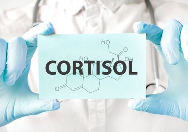 ¿Qué es el cortisol y cuál es su función en el cuerpo humano?