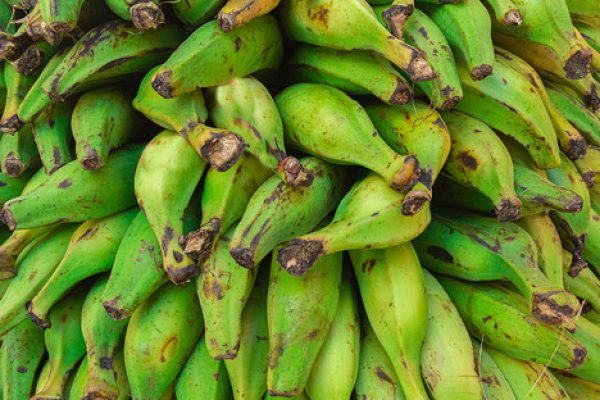 Qué alimentos pueden reemplazar al plátano verde en la cocina ecuatoriana