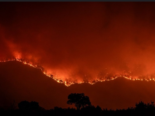 Detenidas 32 personas por su relación con incendios forestales en España desde junio