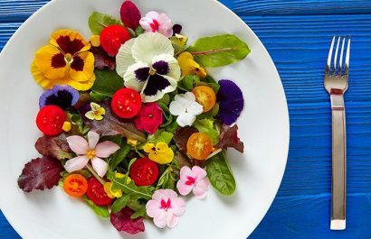 Conozca qué flores se pueden comer y cómo se usan en la gastronomía tradicional y moderna