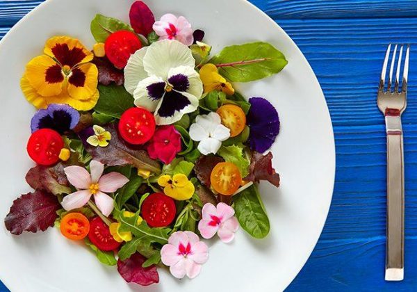 Conozca qué flores se pueden comer y cómo se usan en la gastronomía tradicional y moderna