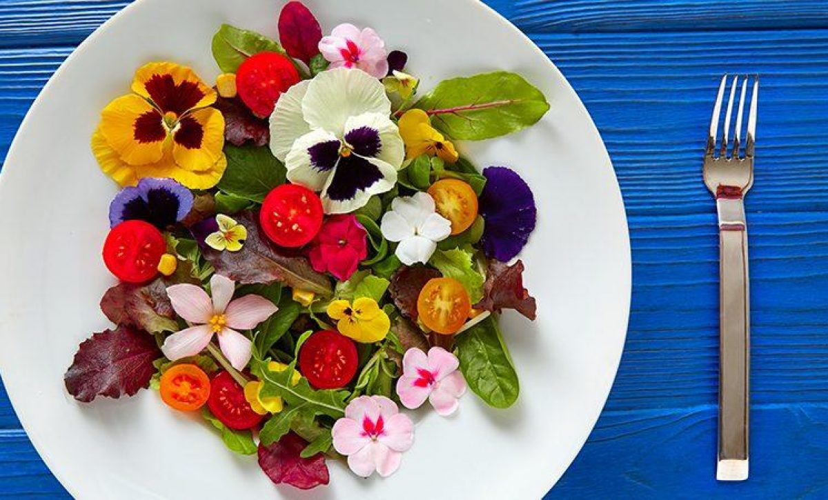 Conozca qué flores se pueden comer y cómo se usan en la gastronomía tradicional y moderna