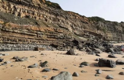 Las flores están presentes en la Tierra hace 123 millones de años