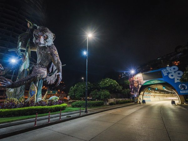 En Guayaquil, las temperaturas nocturnas han caído a 21-23°C, un descenso notable frente a los 32°C recientes.