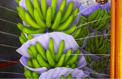 La salida de Exportadora Bananera Noboa S.A. del primer puesto en el ranking de deudores marca un cambio significativo, dado que hace cuatro meses lideraba la lista. FOTO: noboa.global.