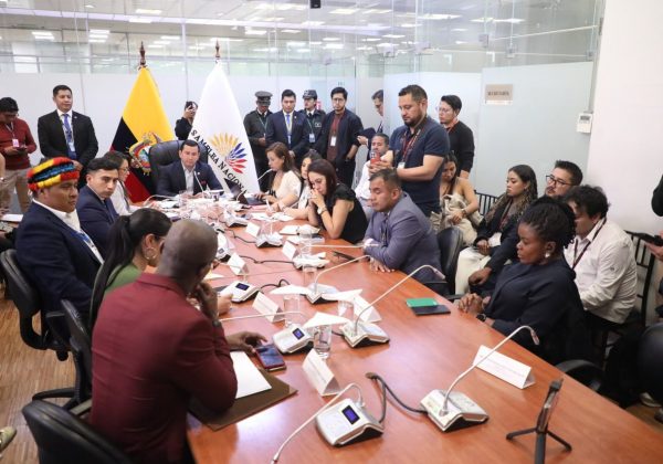 Una sesión de la La Comisión de Fiscalización y Control Político de la Asamblea Nacional. FOTO: @AsambleaEcuador.