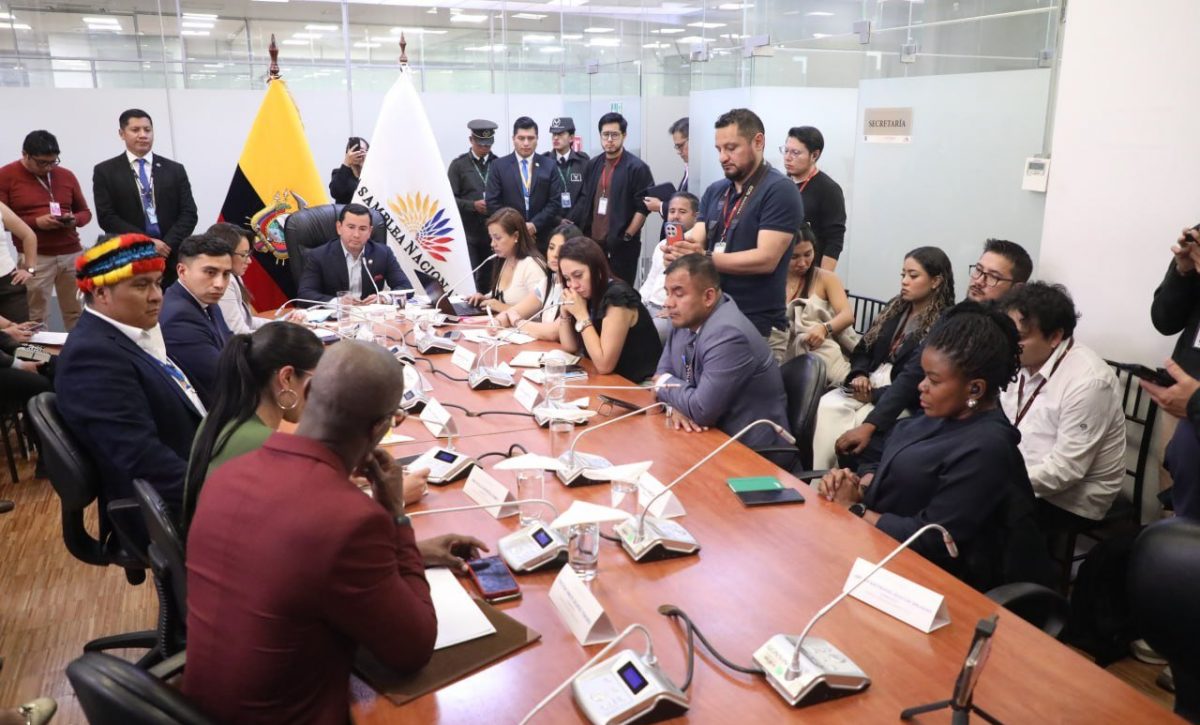 Una sesión de la La Comisión de Fiscalización y Control Político de la Asamblea Nacional. FOTO: @AsambleaEcuador.