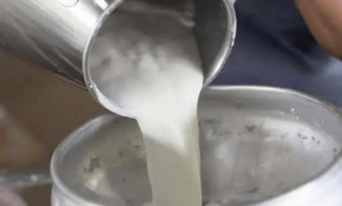 La leche ecuatoriana conquista un nuevo mercado en Centroamérica