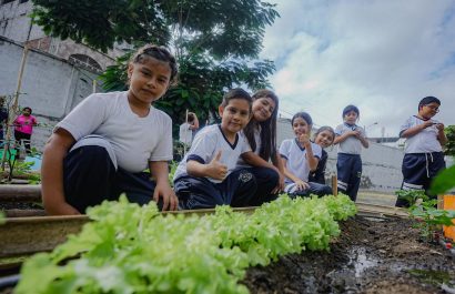 En Manta ya son 202 huertos entregados: 143 comunitarios y 59 escolares; el de la foto corresponde al de la escuela Maruja Cedeño.