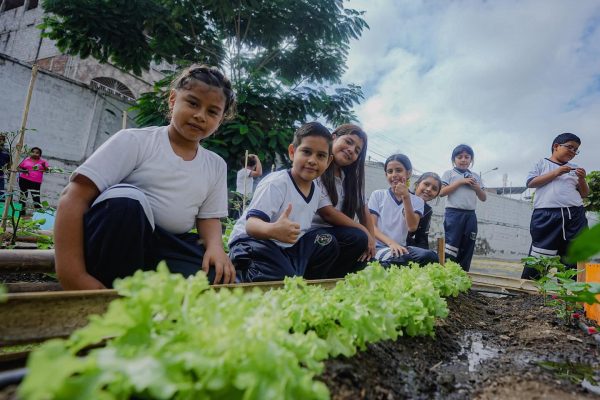 En Manta ya son 202 huertos entregados: 143 comunitarios y 59 escolares; el de la foto corresponde al de la escuela Maruja Cedeño.