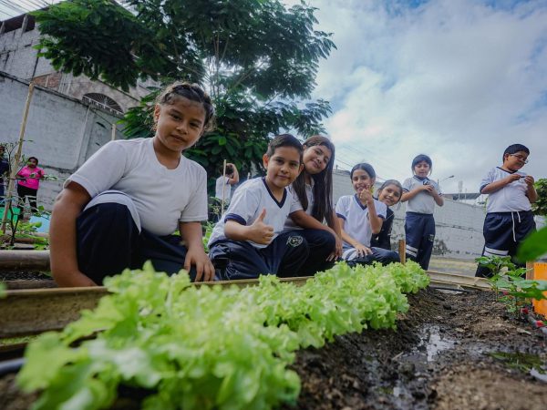 En Manta ya son 202 huertos entregados: 143 comunitarios y 59 escolares; el de la foto corresponde al de la escuela Maruja Cedeño.