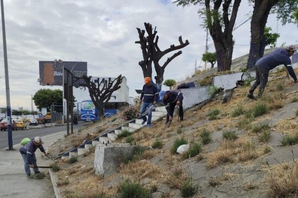 Con la mira en eventos deportivos como el Ironman 2025, Manta une fuerzas entre el Comité Cívico, la Cámara de Comercio, el Municipio y CNEL.
